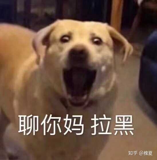 有什么笑到头掉的表情包?