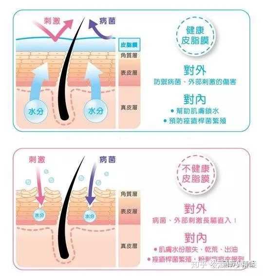 有人说皮肤屏障受损就不能修复好了,角质层是不可逆的