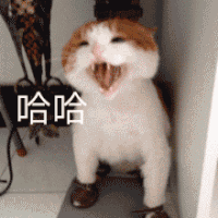 你用过的最沙雕的表情包是什么?