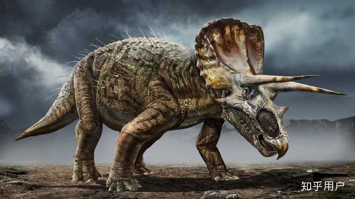triceratops horridus (三角龙) torosaurus latus (牛角龙) chasmos