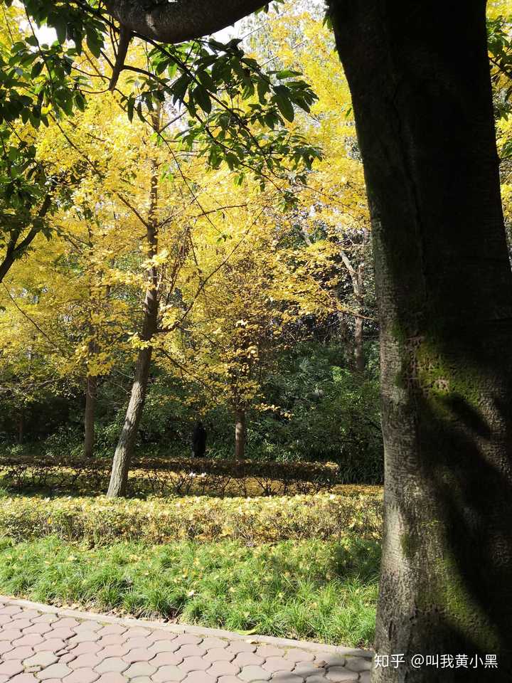 你的手机里有哪些自己拍的真实的风景照?