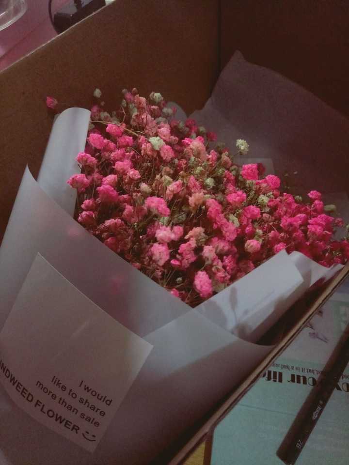 第一次收到花是什么花,第一次送花给别人是什么时候呢