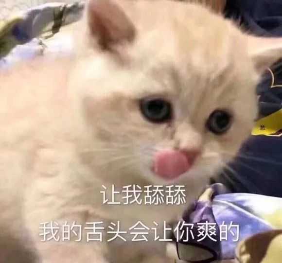 跟男朋友聊天的时候最常用的表情包是哪几个?