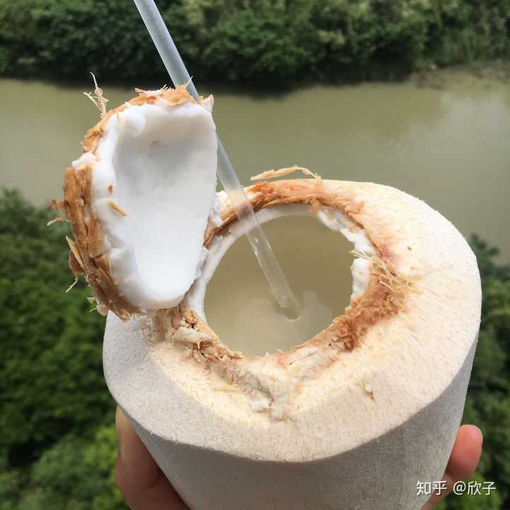 泰国奶香椰子