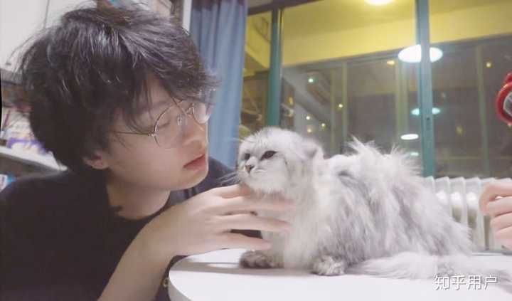 猫猫的东西到处都是,经常带猫咪去检查身体,帮帮白粿也看得出很亲kb