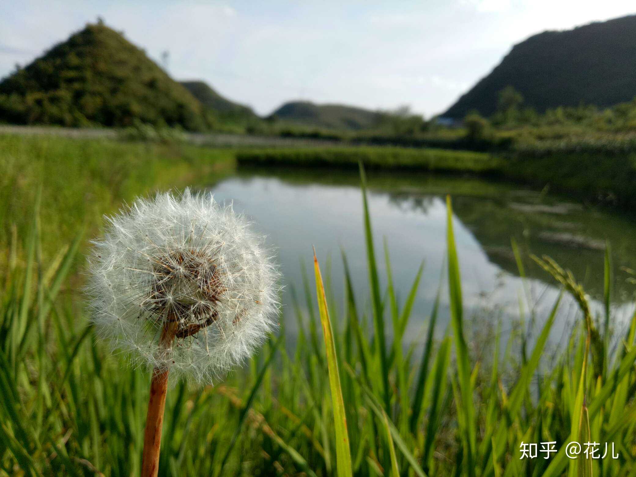 体会农村生活,好一片欣欣向荣的景象!