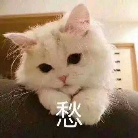 有没有给女朋友发的表情包?
