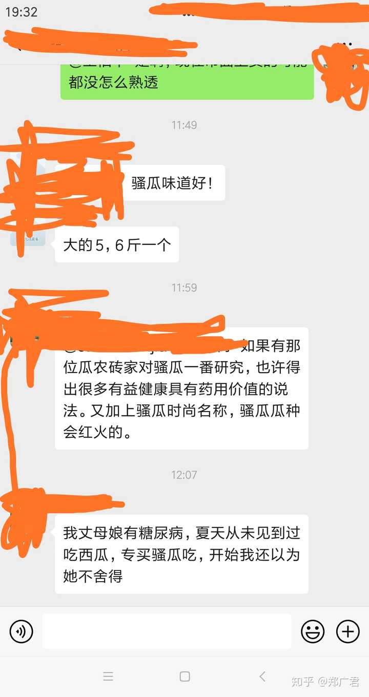 南方所说的"骚瓜"(读音)学名是什么?