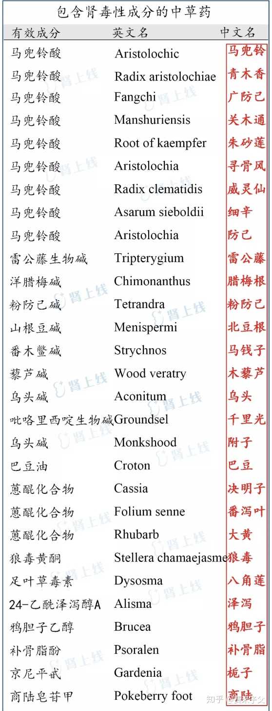 中药厚朴内到底含不含马兜铃酸?