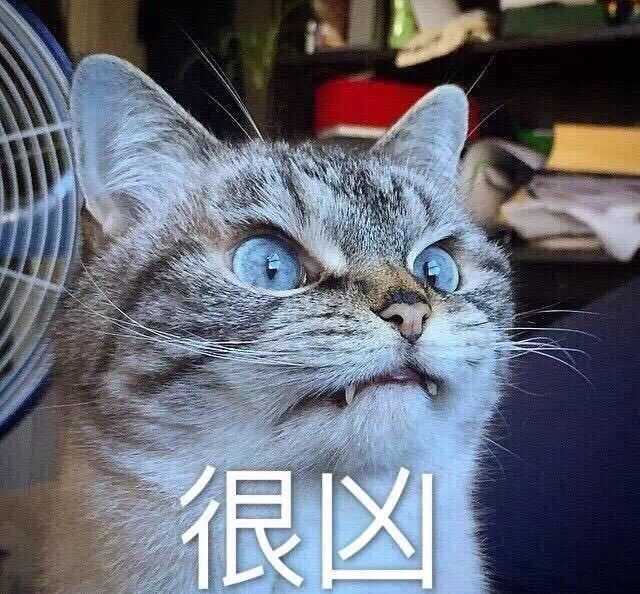 有哪些非常搞笑的动物表情包?
