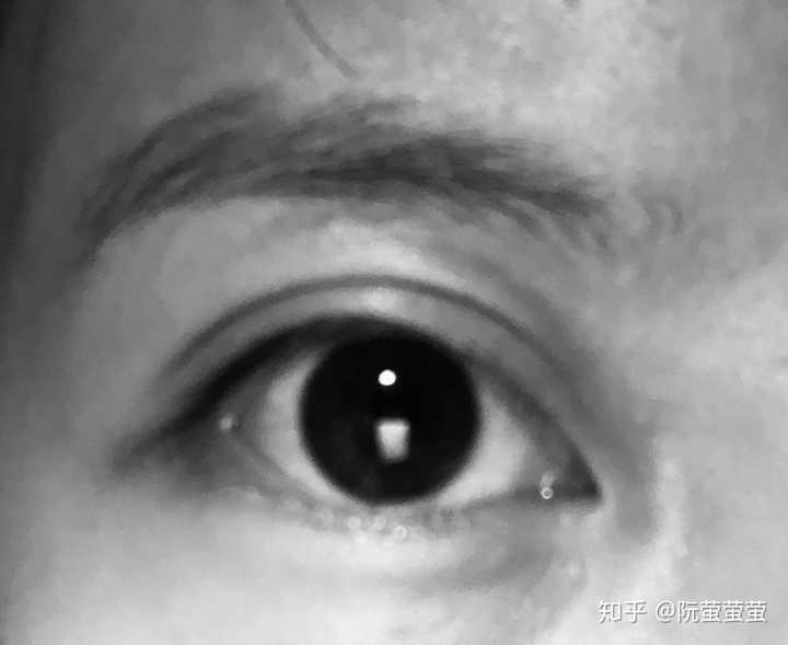 眉和眼睛特别近是种什么体验?