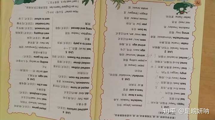 小侄女的书