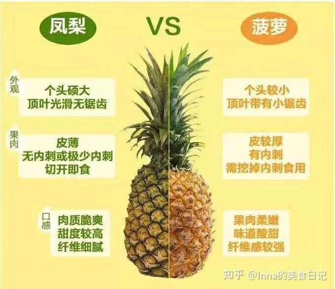 一,关于凤梨和菠萝的区别