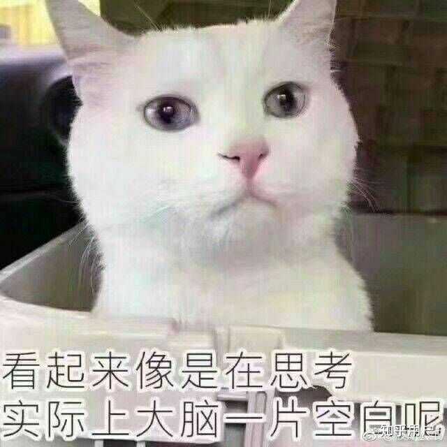 他凑近我的耳朵,小声地说…… 喵喵喵