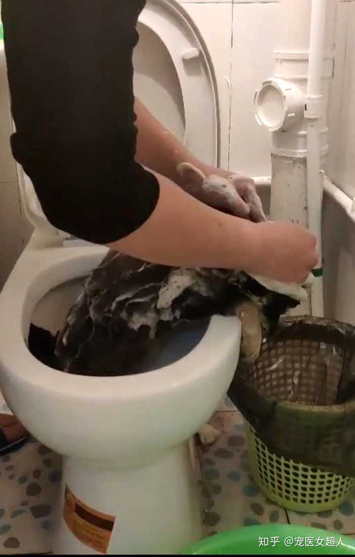摸上去有股蓬勃的生命力,触感非常柔顺,光滑,尤其是刚刚洗完澡之后