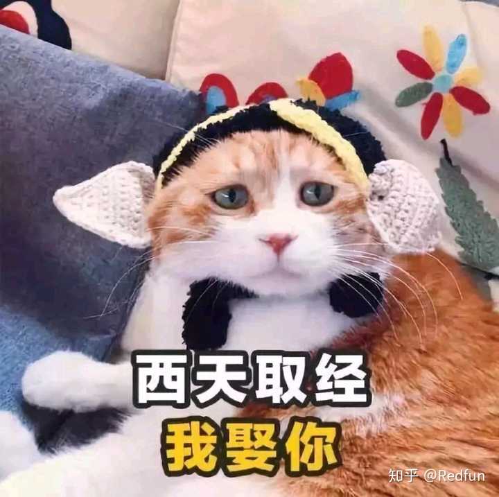 该怎么哄女朋友开心?