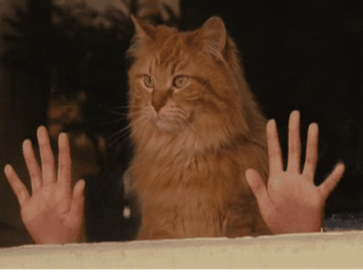 iphone和安卓手机哪个实用性更好?