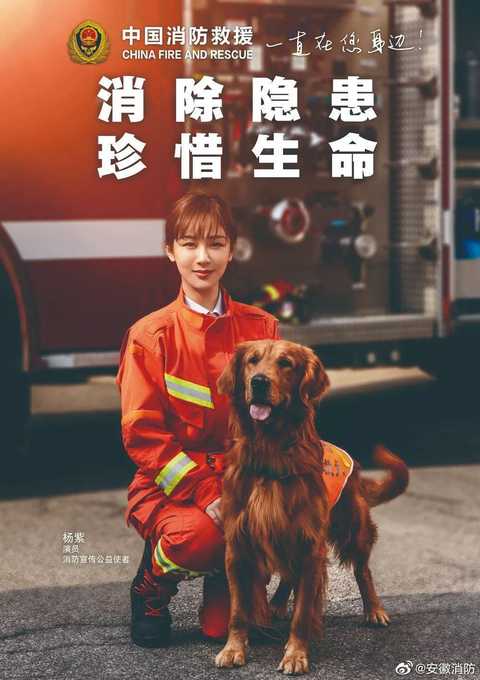 足以说明杨紫根正苗红,中国消防大使,她穿军装的海报地铺,小区门口