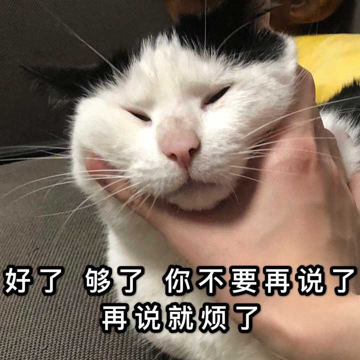 女生工作之余找我老公闲聊,并且总发这种装可爱的表情