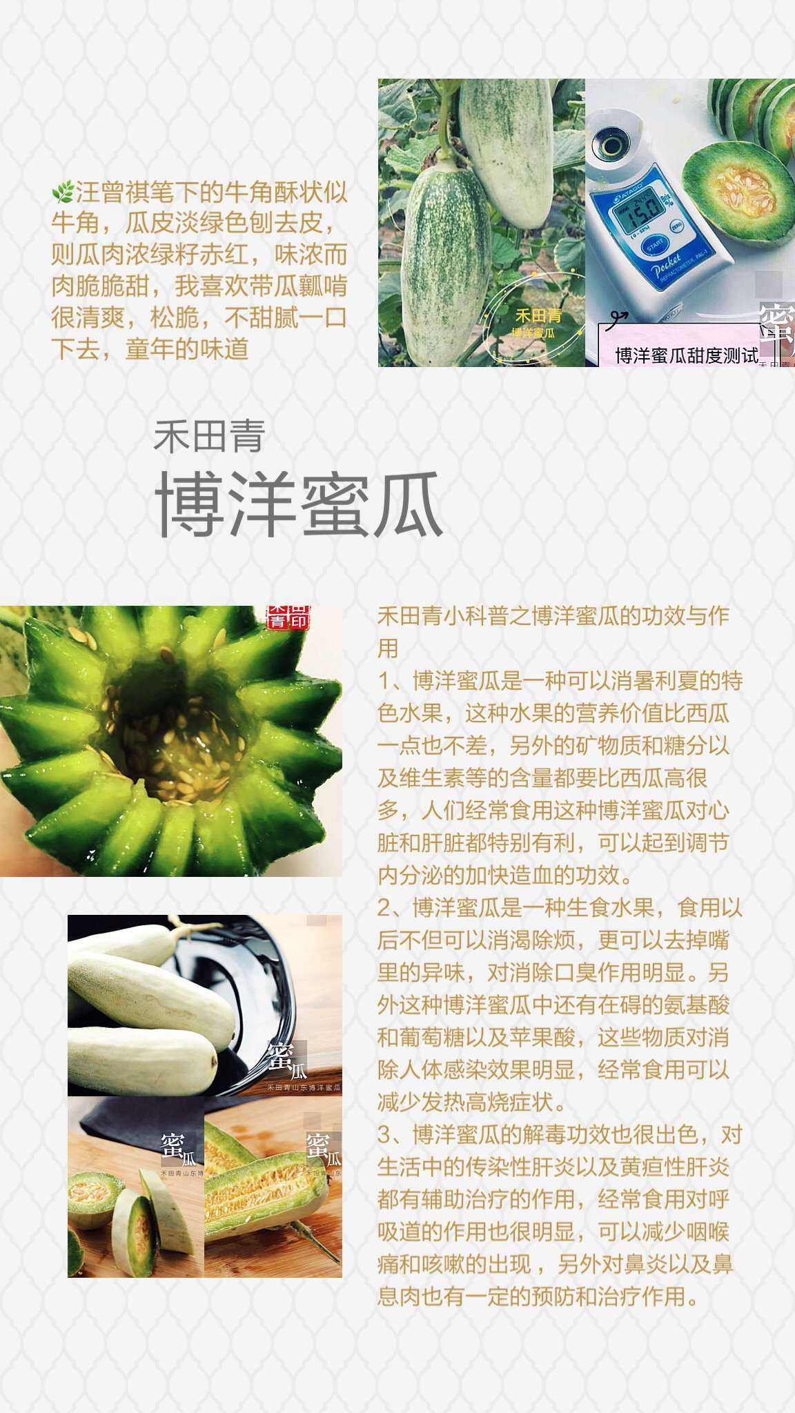 禾田青无公害健康水果,诚招全国可爱代理!