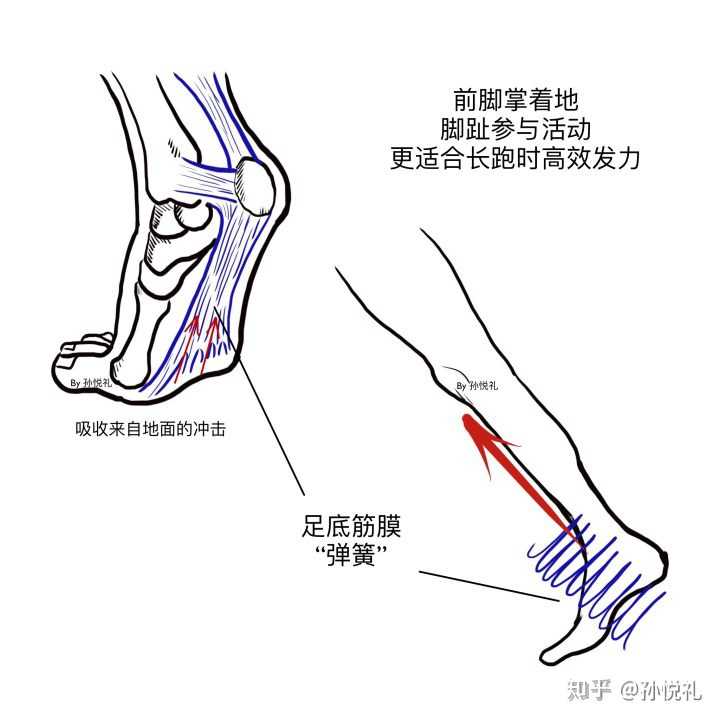 怎样走路才健康?每天一万步可以吗?