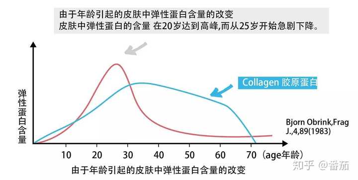 营养美学的胶原蛋白弹性蛋白产品有效吗?