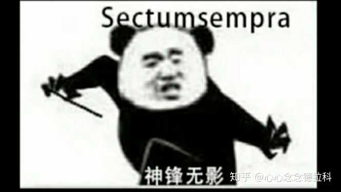 关于《哈利波特》的表情包?