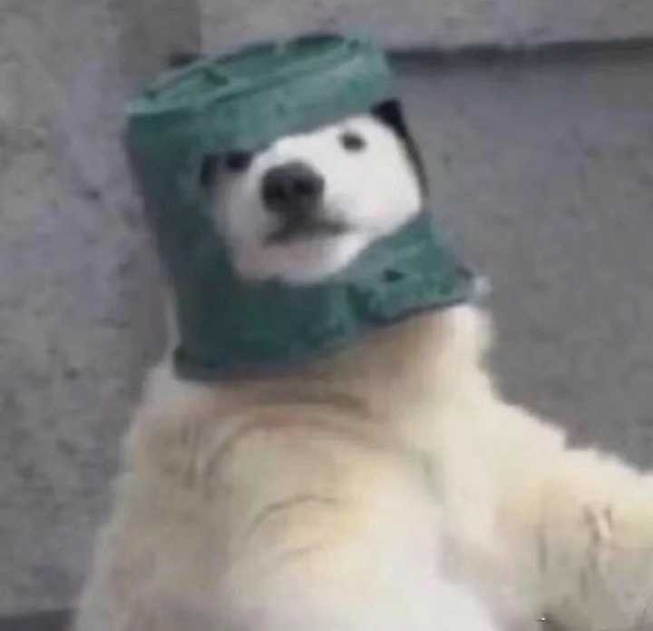 有哪些不沙雕不非主流的头像?