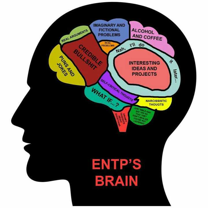 entp和intj的行事风格对比