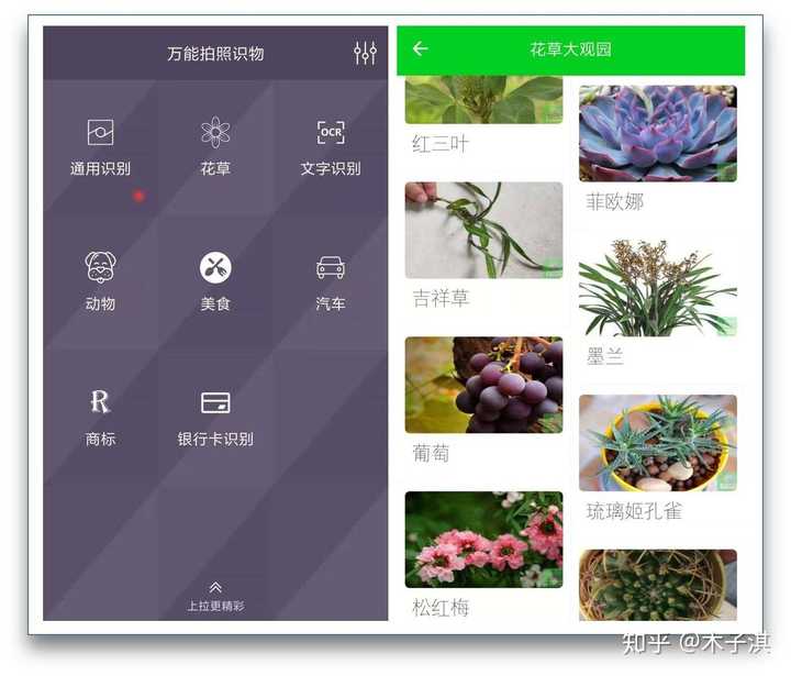 它支持识别花草,识别文字,识别动物,识别美食,识别汽车,识别杀觋