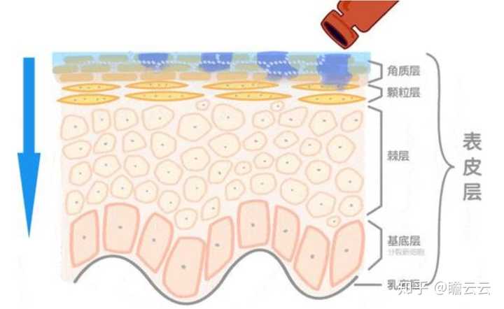 4)角质层过薄,皮肤屏障完整性被破坏,容易过敏