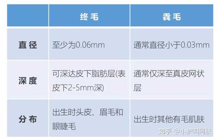 表 终毛和毳毛