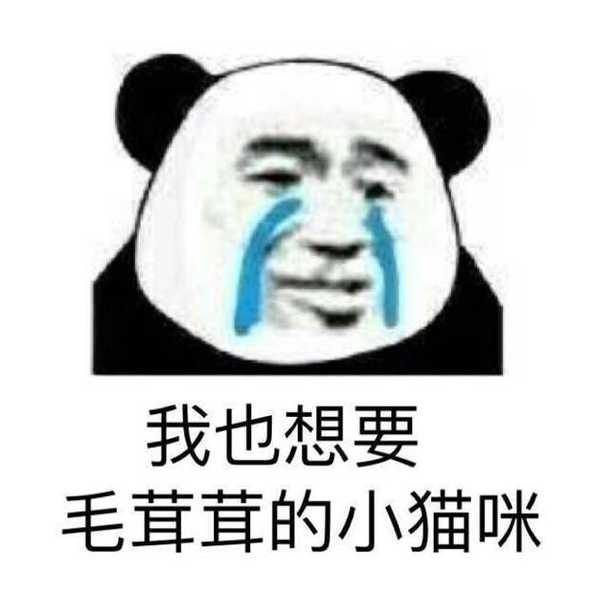 下面就是表情包,按我收藏的时间排的,数量太多没法按分类排了.