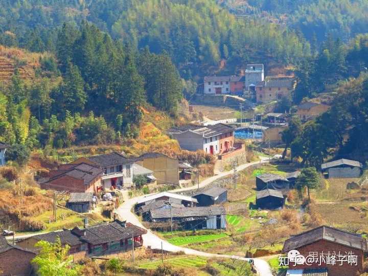 福建省宁德市古田县凤都镇里村是个什么样的村子?