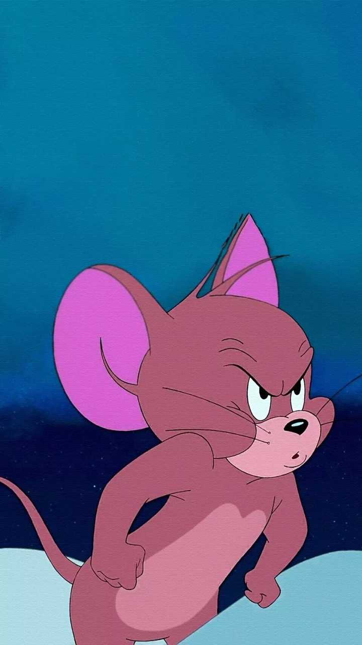 有没有有关猫和老鼠的壁纸?