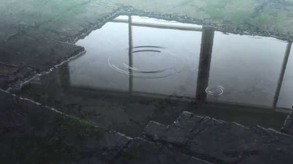 新海诚是《万叶集》的忠实拥趸,"物哀之雨"的意象在他的刻画下入木图片