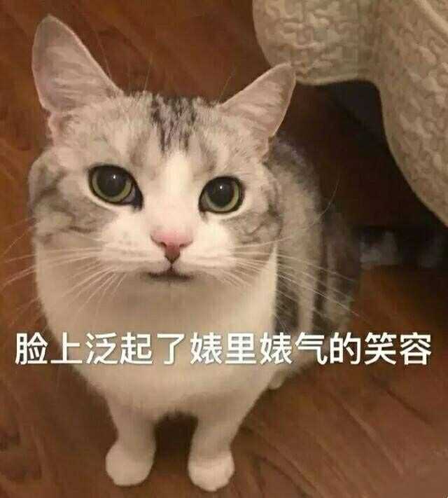 (小声bb)可以拿走我的表情包,但记得  啊!赞赞我撒