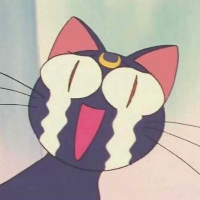 它是我见过最贱最萌的头像哈哈哈哈