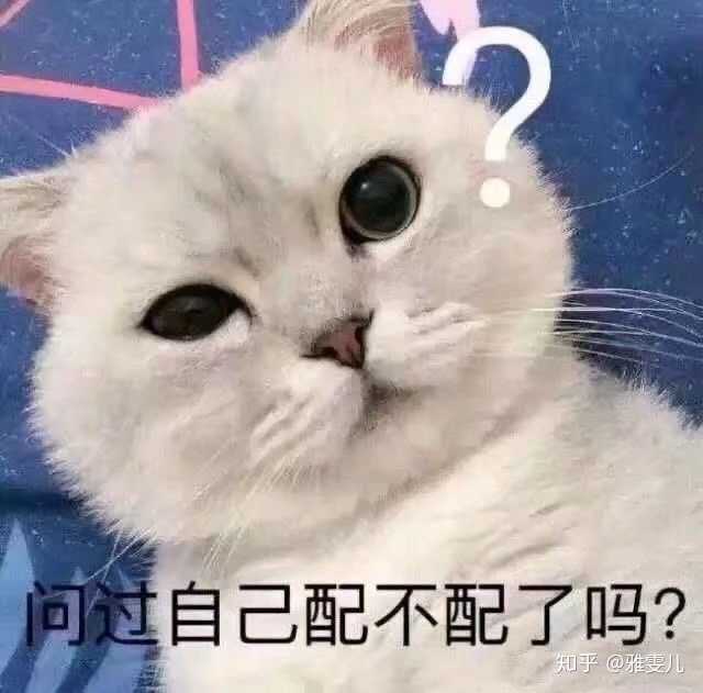 有哪些可爱到哭泣的猫咪图片或者表情包?