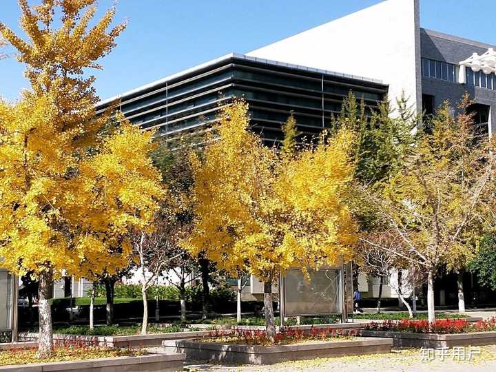 山东农业大学的宿舍条件如何?校区内有哪些生活设施?