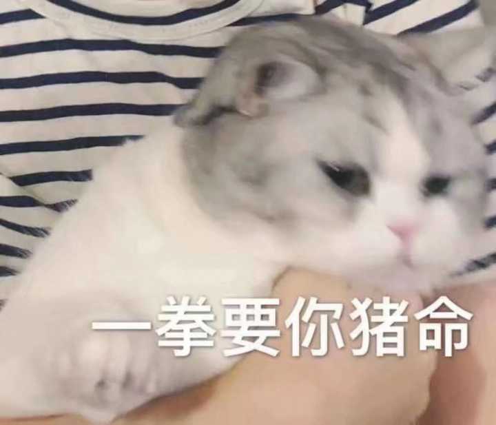 有哪些适合女朋友的表情包/图片?
