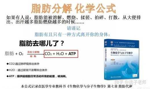 附脂肪分解生物化学公式