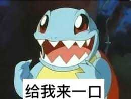 为什么《精灵宝可梦》的御三家里,只有杰尼龟被大量做成表情包?