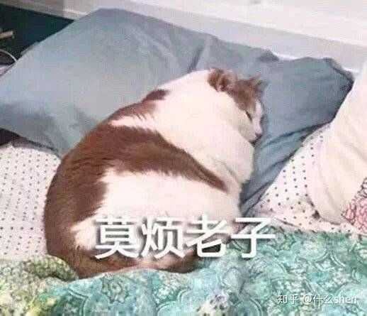 撩我家狗子的不知不觉间存了好多图,(小套路中参杂些许去幼儿园的车