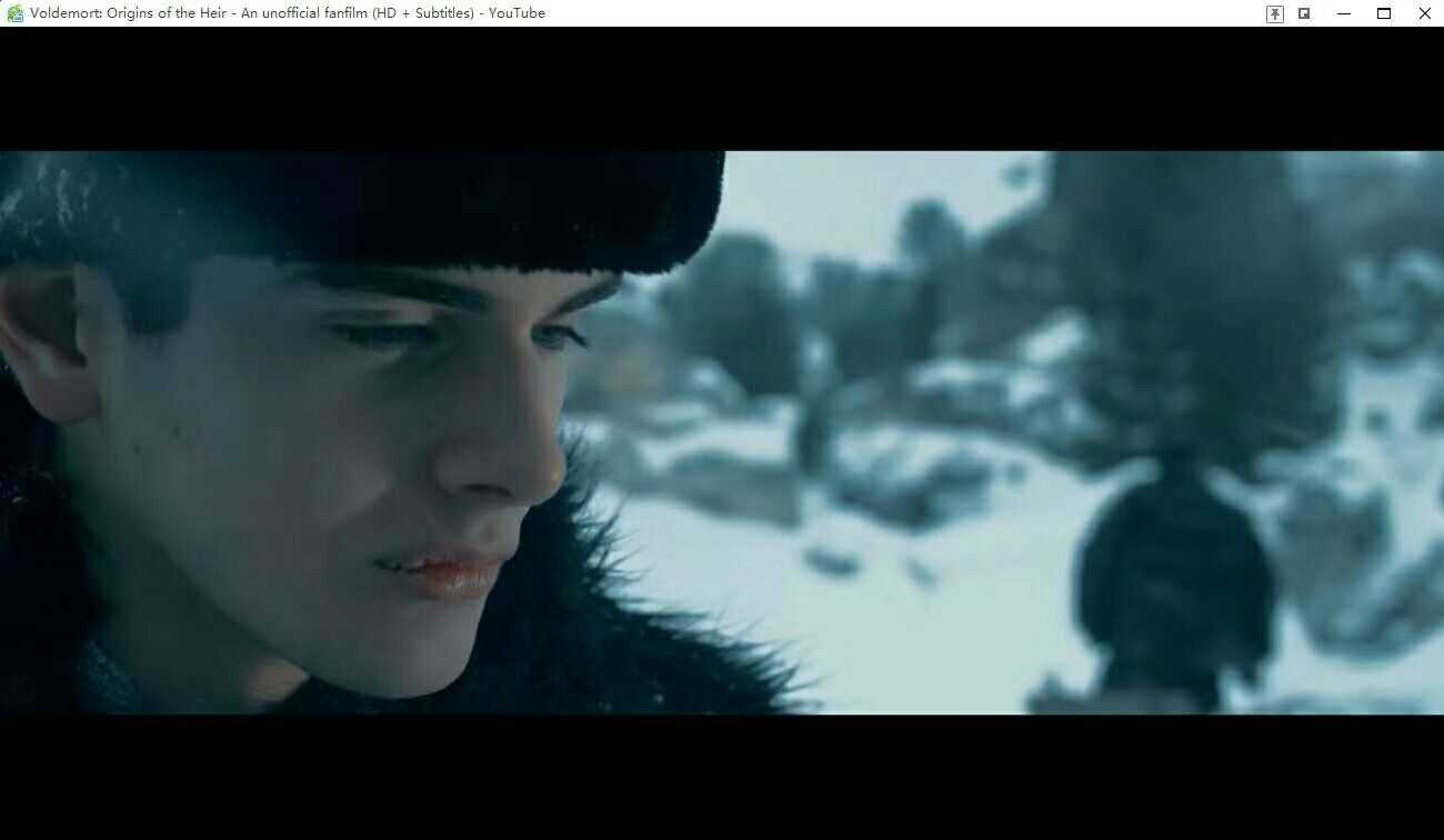有的,1月在youtube看伏地魔外传的时候,结尾有个小哥哥,帅到我了,不