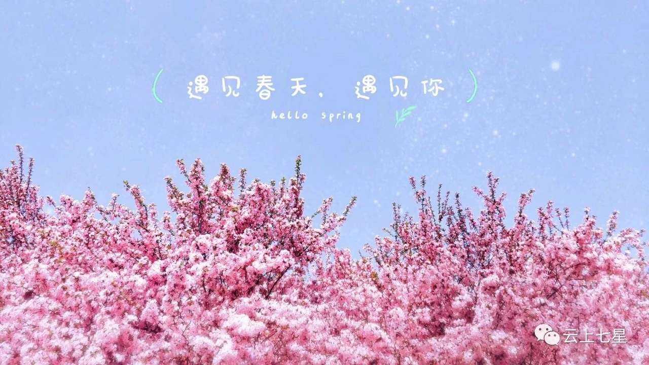 春天的声音# #春天的声音# 鸡鸣三省贵州… - 知乎
