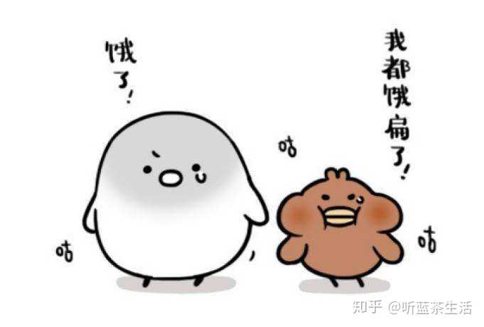 晚上不吃饭真的能减肥吗?