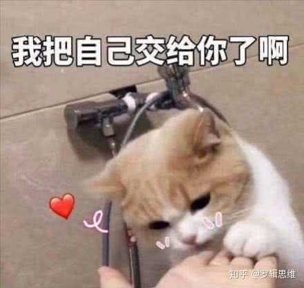 有哪些可以哄女朋友的表情包?
