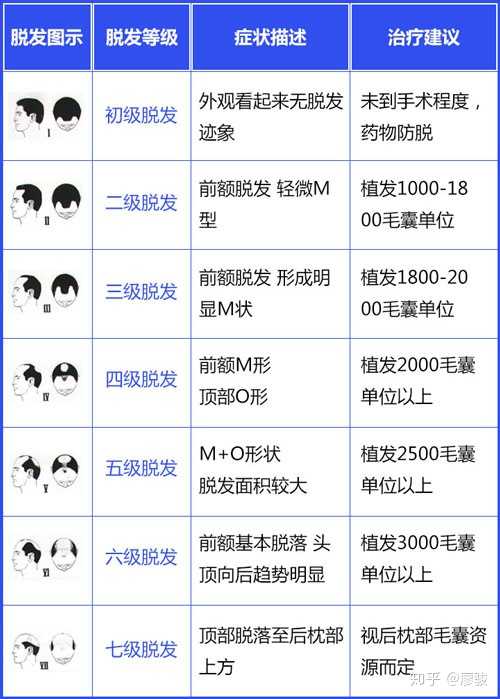 收起 廖骏 倍生植发中国区技术院长 先上一张图,让你了解一下脱发等级