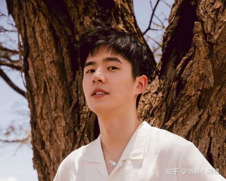 如何评价刘昊然和白敬亭身上不同的少年感?